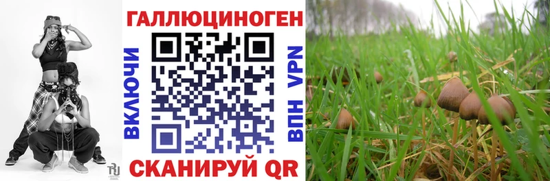 mega ССЫЛКА  Тобольск  Псилоцибиновые грибы Psilocybine cubensis 